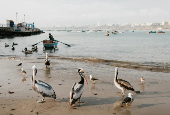 best peru itinerary for 7 days